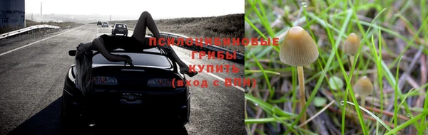тгк Аркадак
