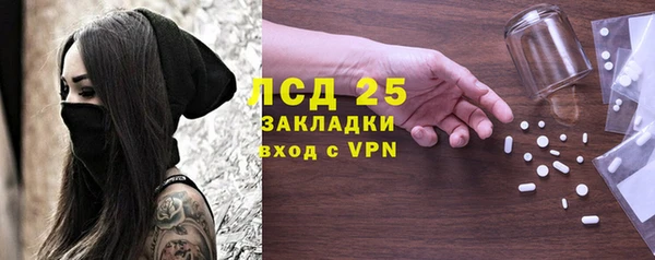 спиды Новодвинск